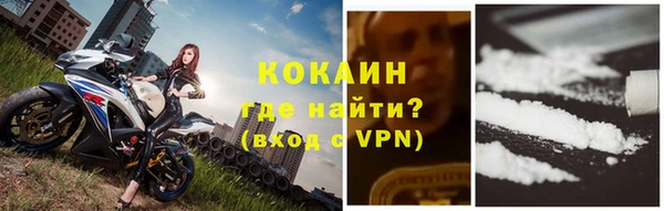 стаф Абинск