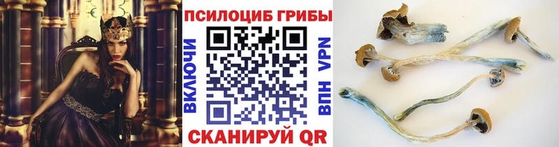 Псилоцибиновые грибы мицелий  купить наркоту  Абдулино 